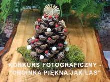 Konkurs fotograficzny - Choinka piękna jak las